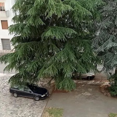 Apartmán Terrazza Bella Vista *